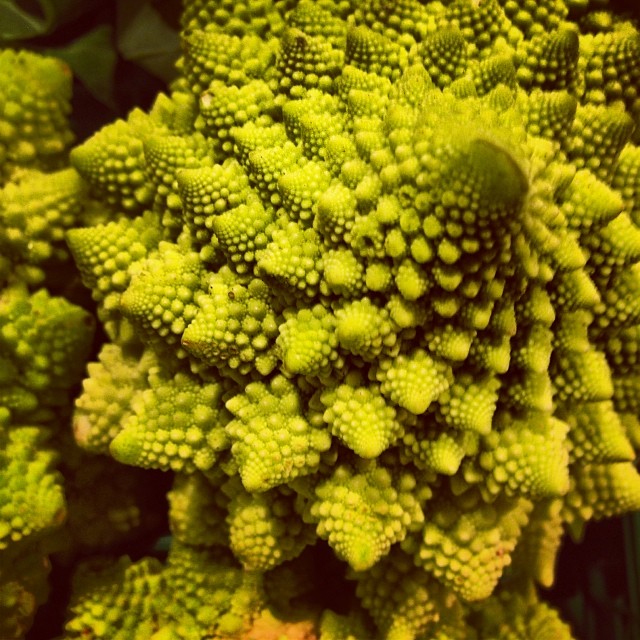 that alien fractal vegetable