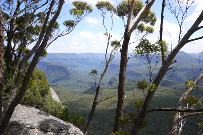 The view from Pigeon House Mountain