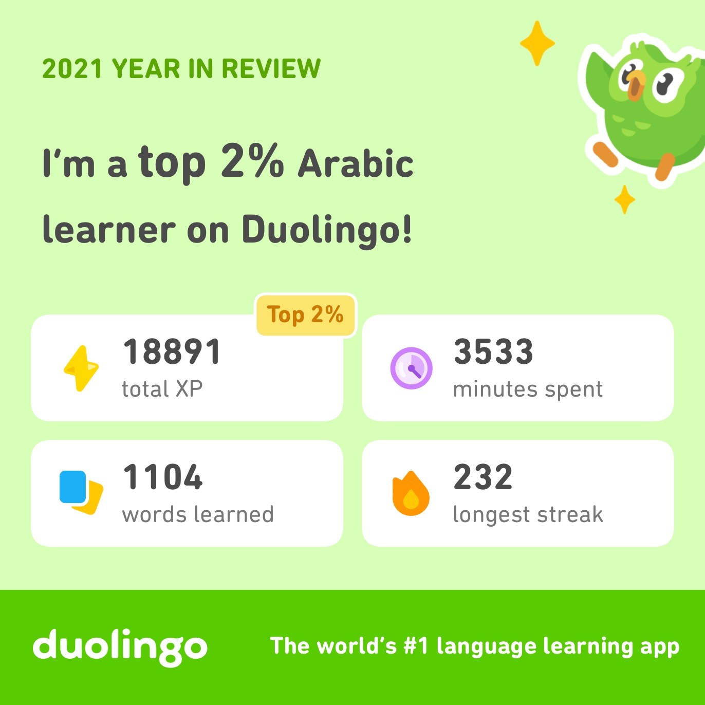 Duolingo stats: almost 60 hours total; a couple of lessons every day, 232 days in a row