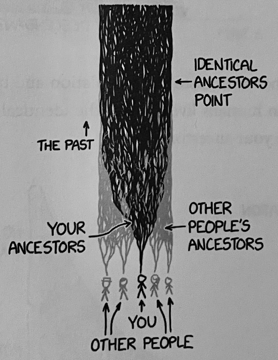 identical ancestors