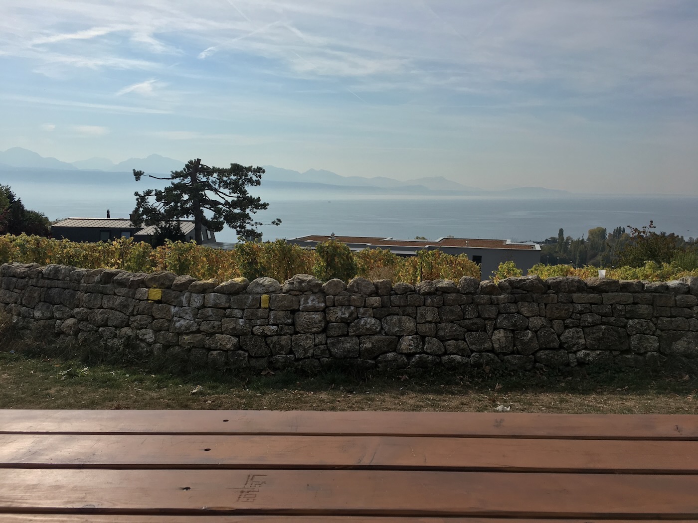 Colline du Languedoc